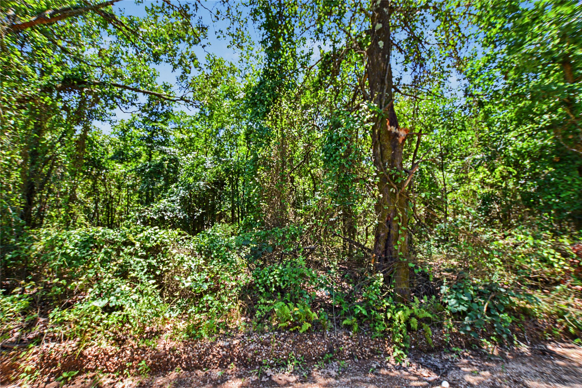 22501 E 830 Road Property Photo 5