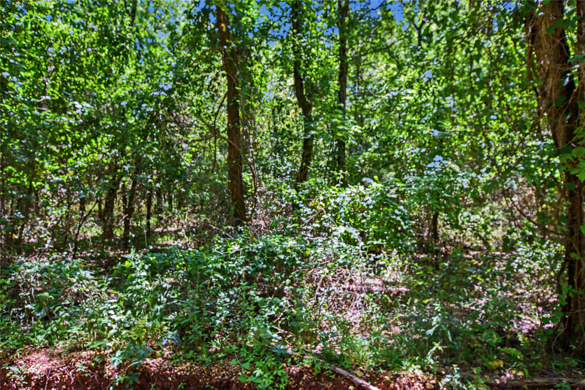 22501 E 830 Road Property Photo 6