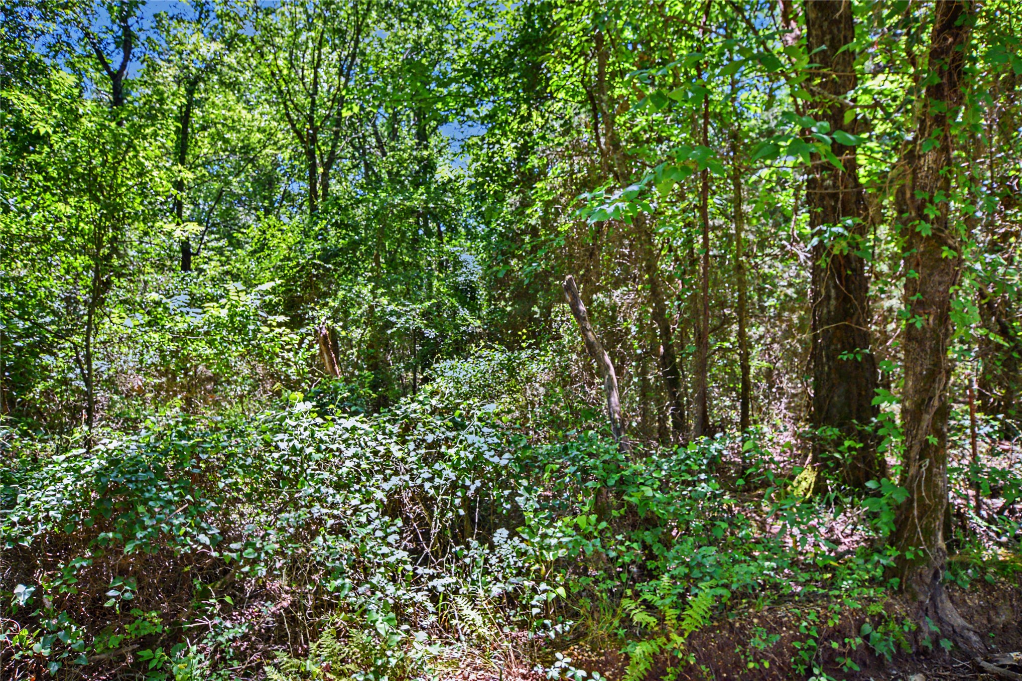 22501 E 830 Road Property Photo 7