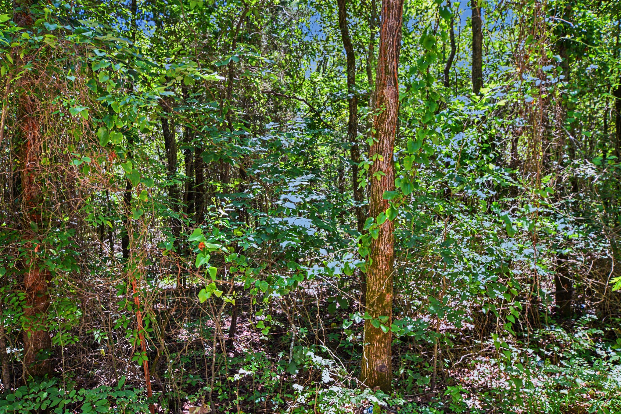 22501 E 830 Road Property Photo 8