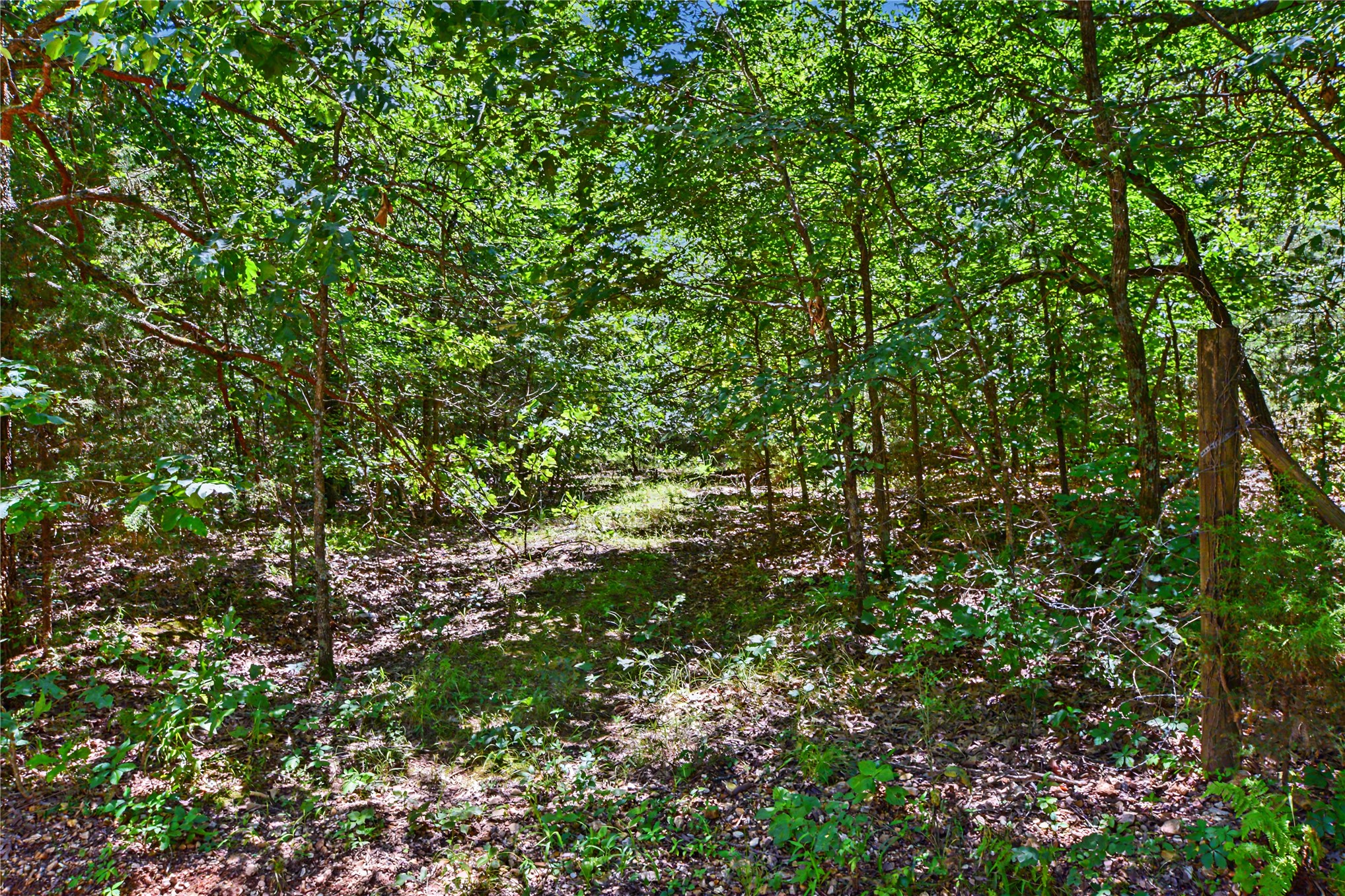 22501 E 830 Road Property Photo 9