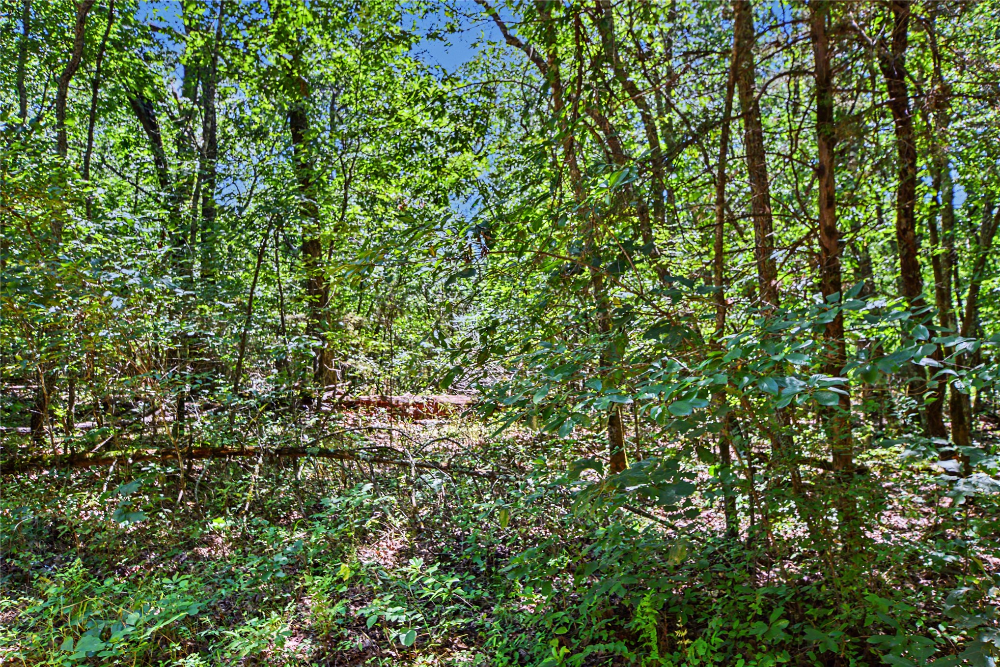22501 E 830 Road Property Photo 10