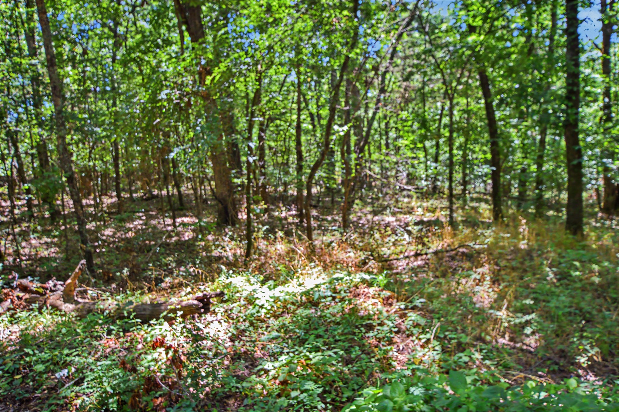 22501 E 830 Road Property Photo 11