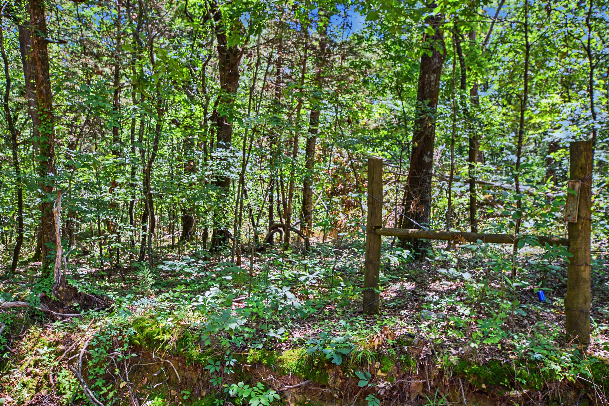 22501 E 830 Road Property Photo 12