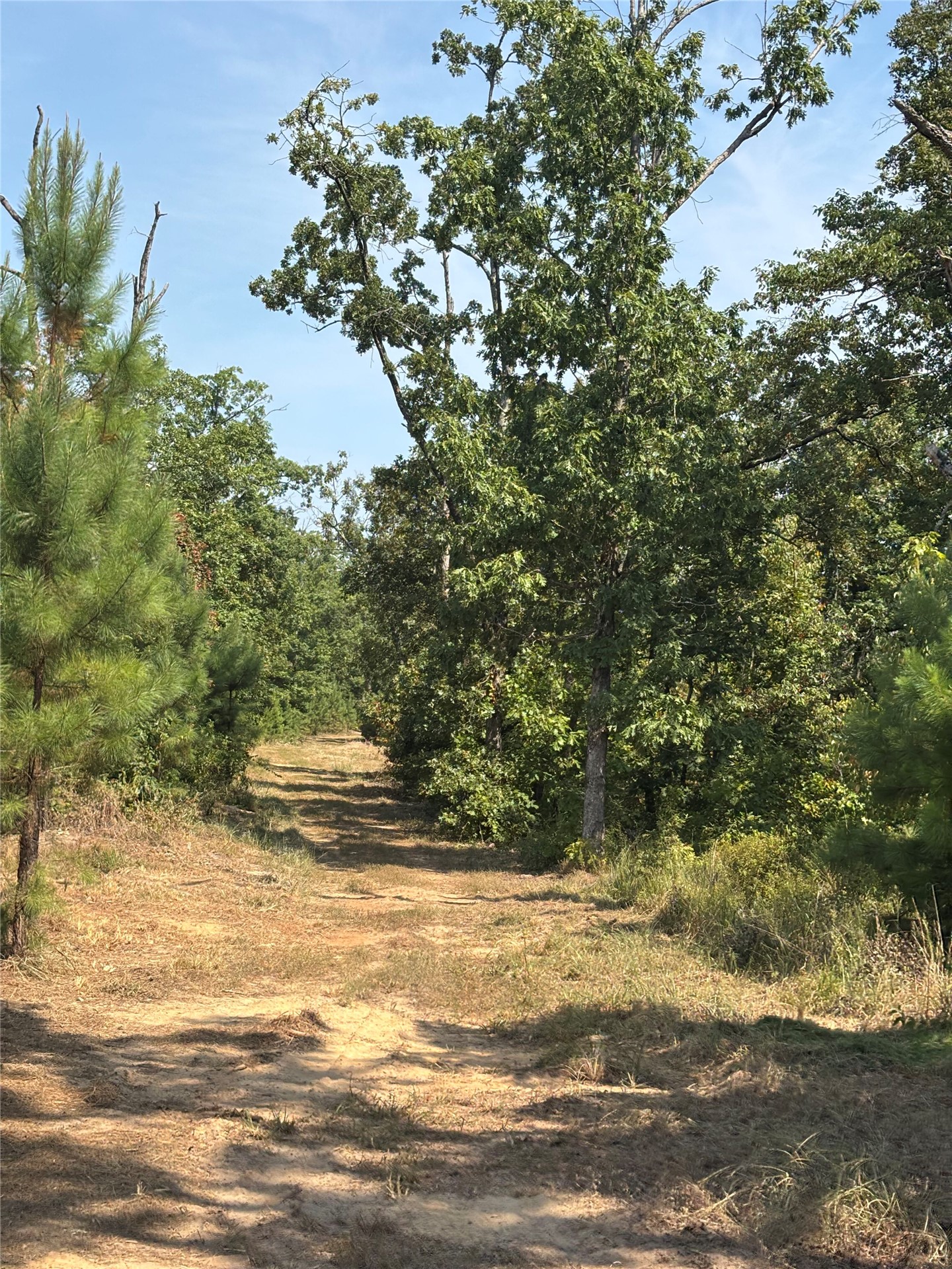 0 Indian Hwy Property Photo 26