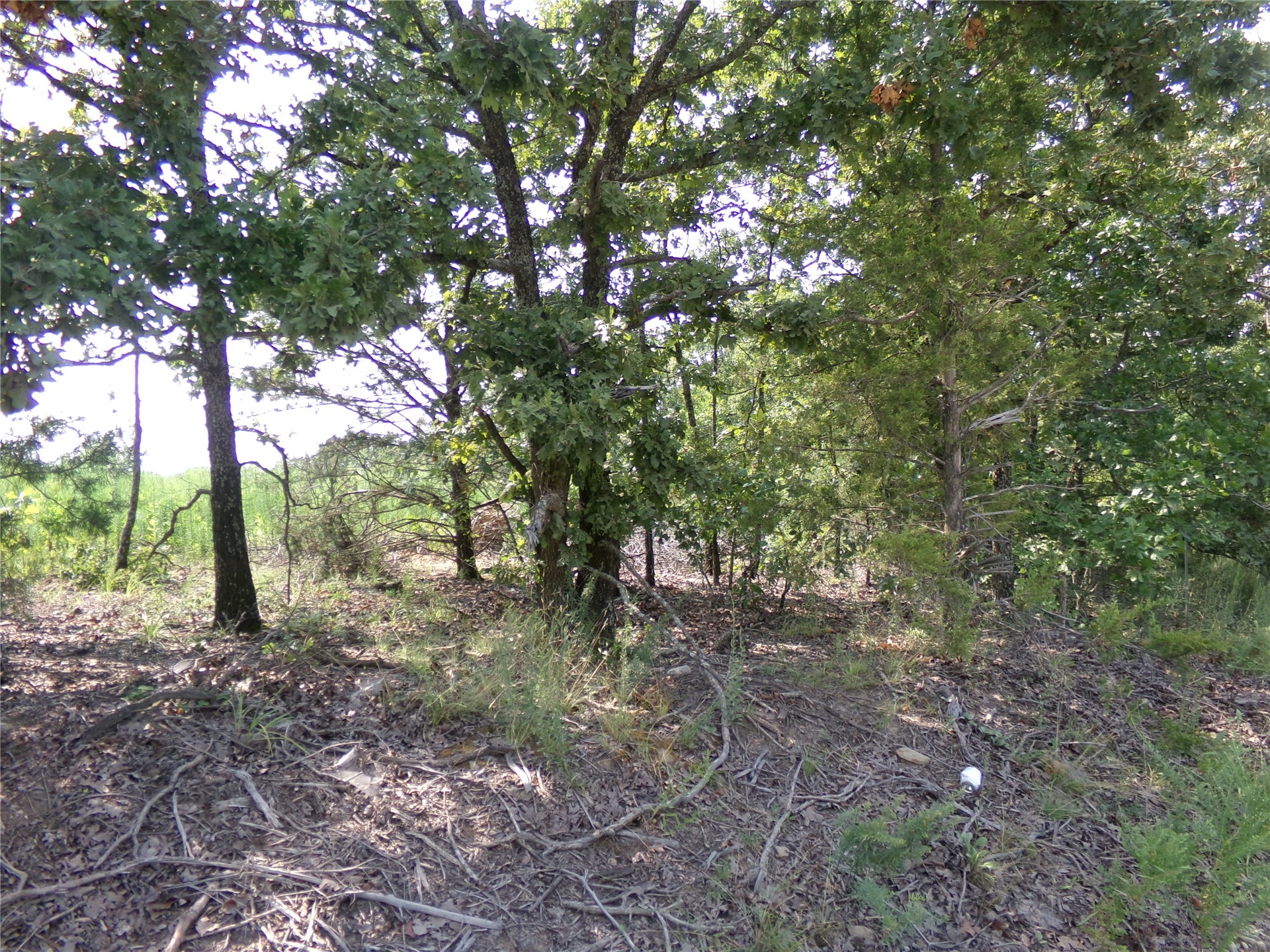 N 4230 Road Property Photo 1