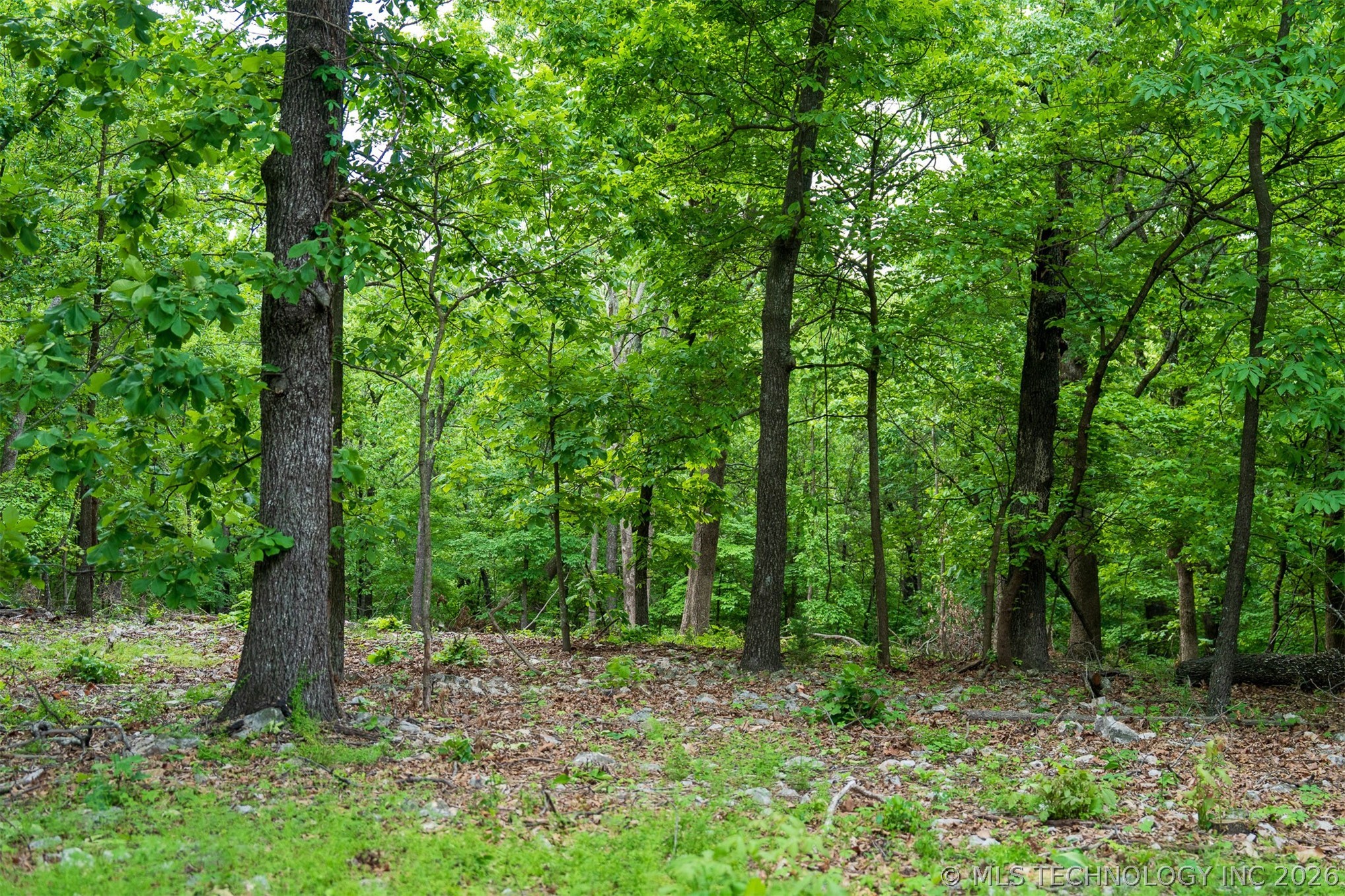 09 Skyline Drive Property Photo 36