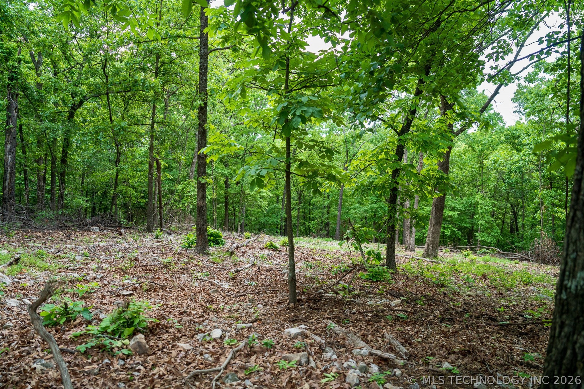 09 Skyline Drive Property Photo 37