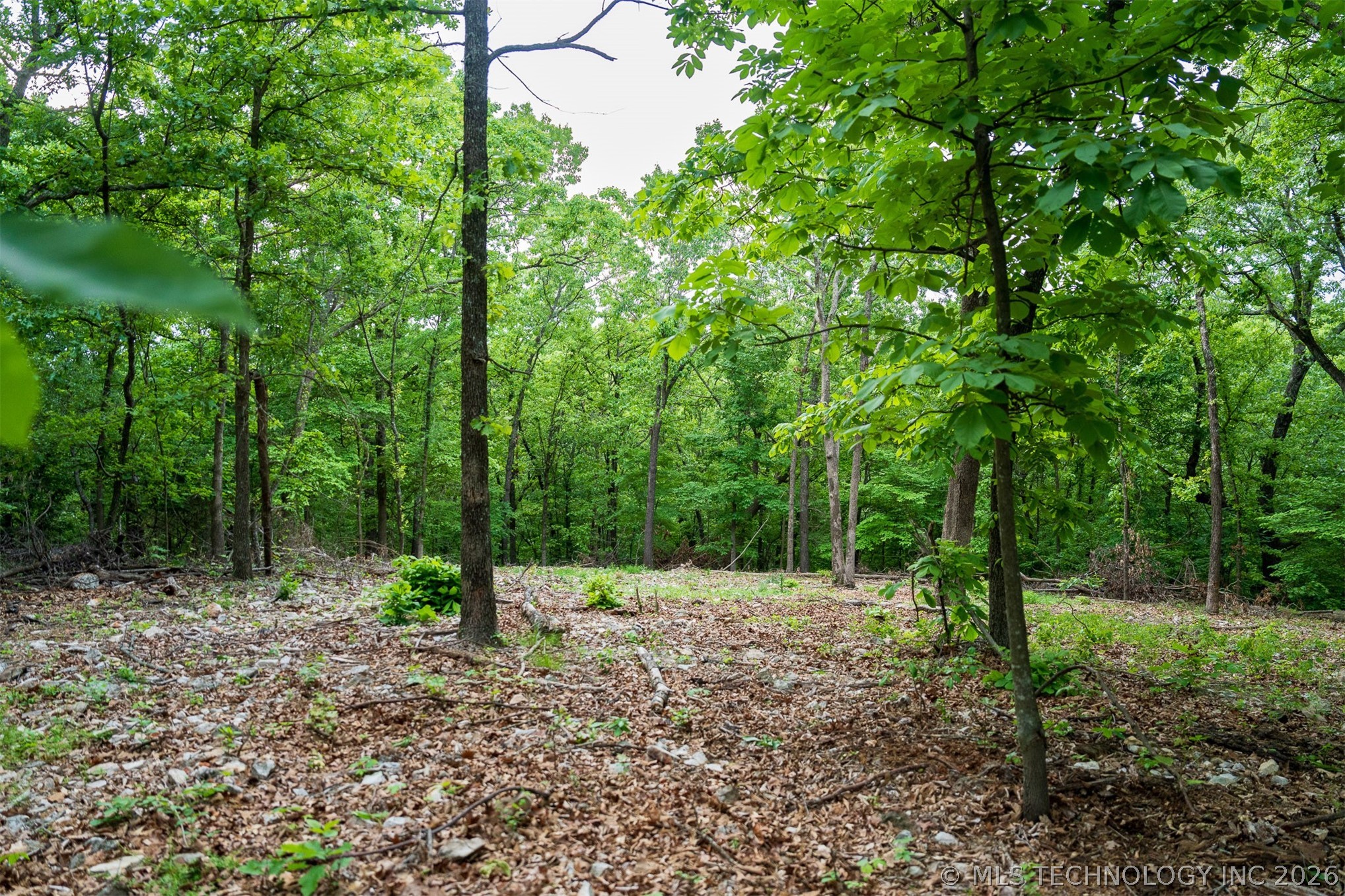 09 Skyline Drive Property Photo 38