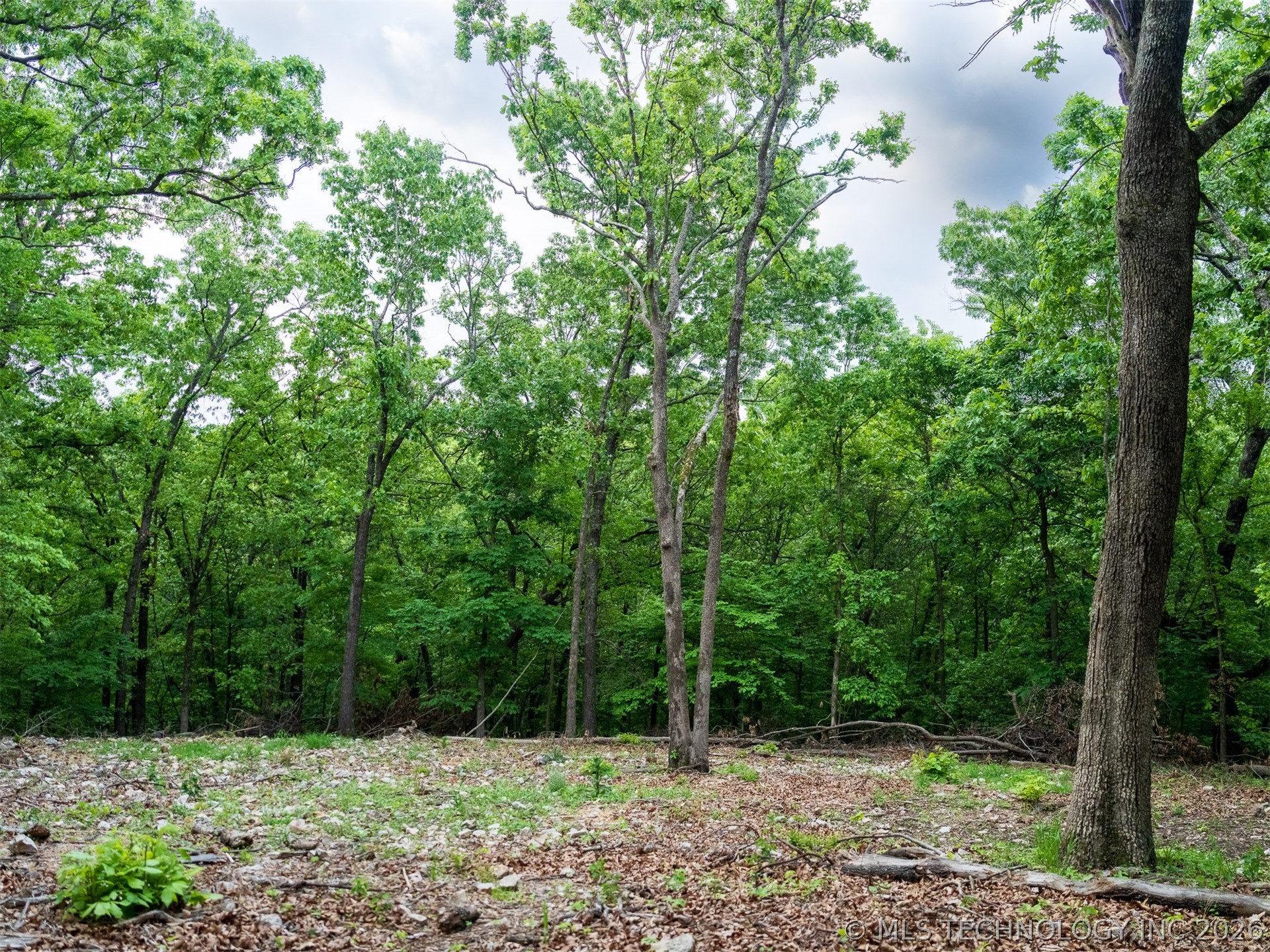 09 Skyline Drive Property Photo 39