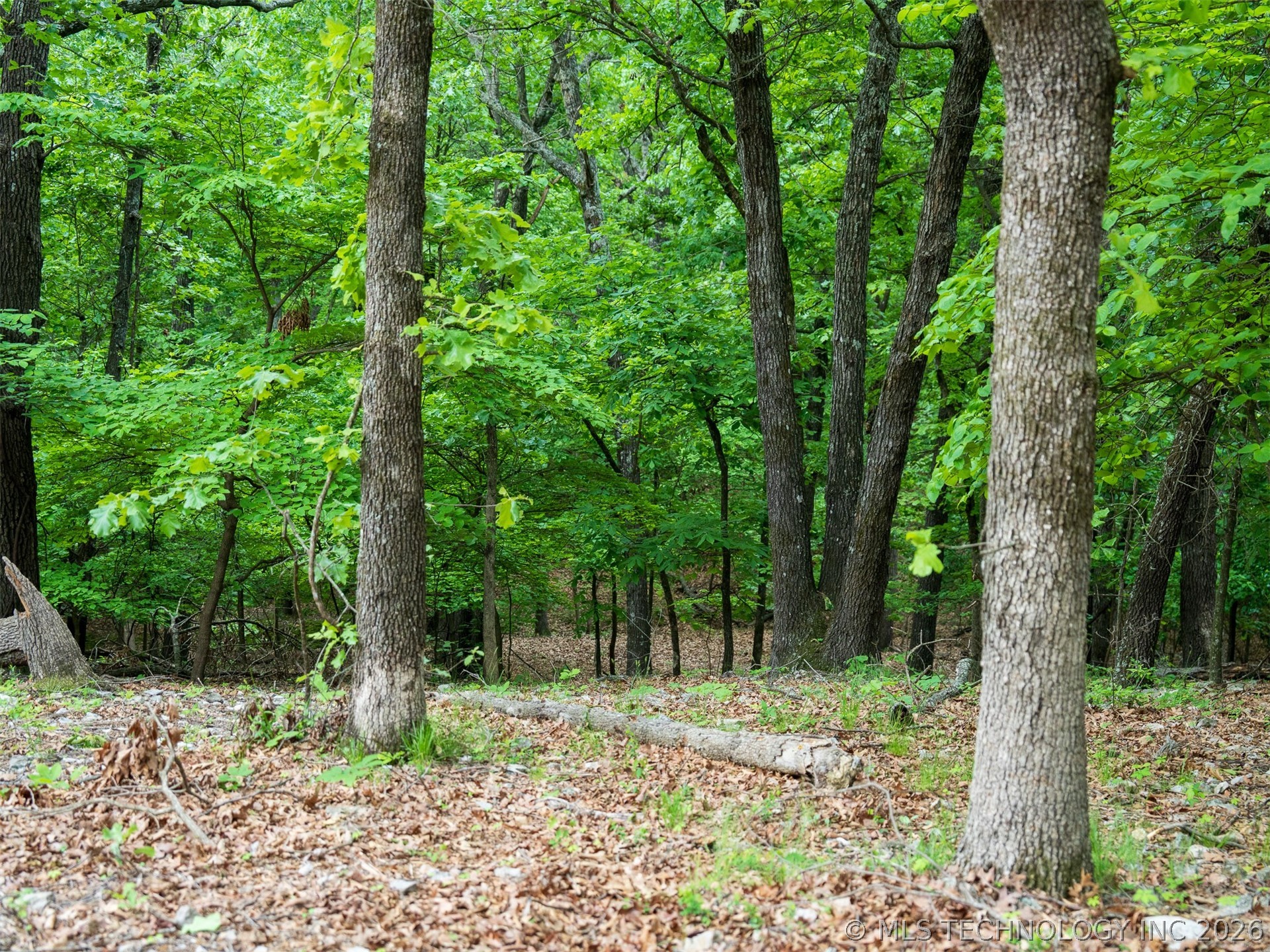 09 Skyline Drive Property Photo 40