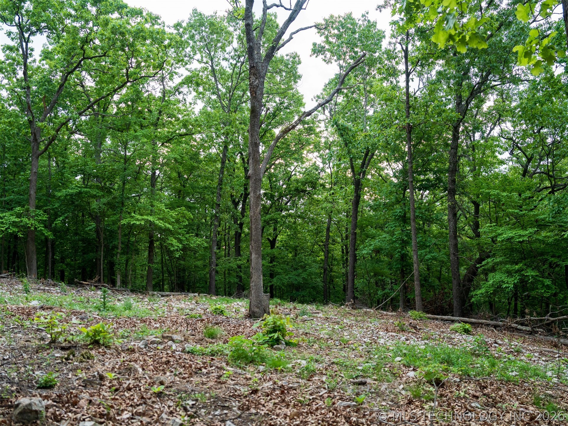 09 Skyline Drive Property Photo 41