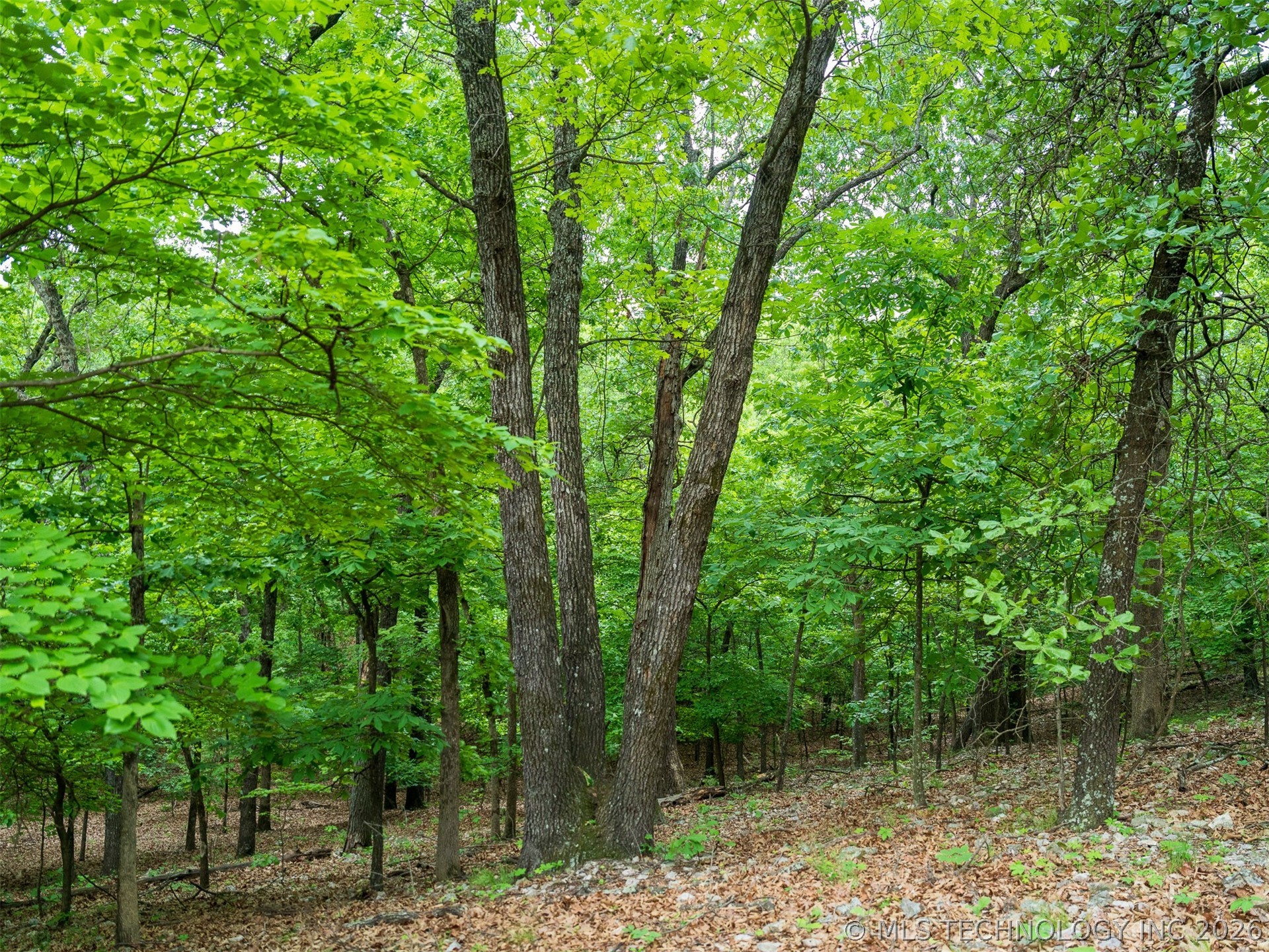 09 Skyline Drive Property Photo 42