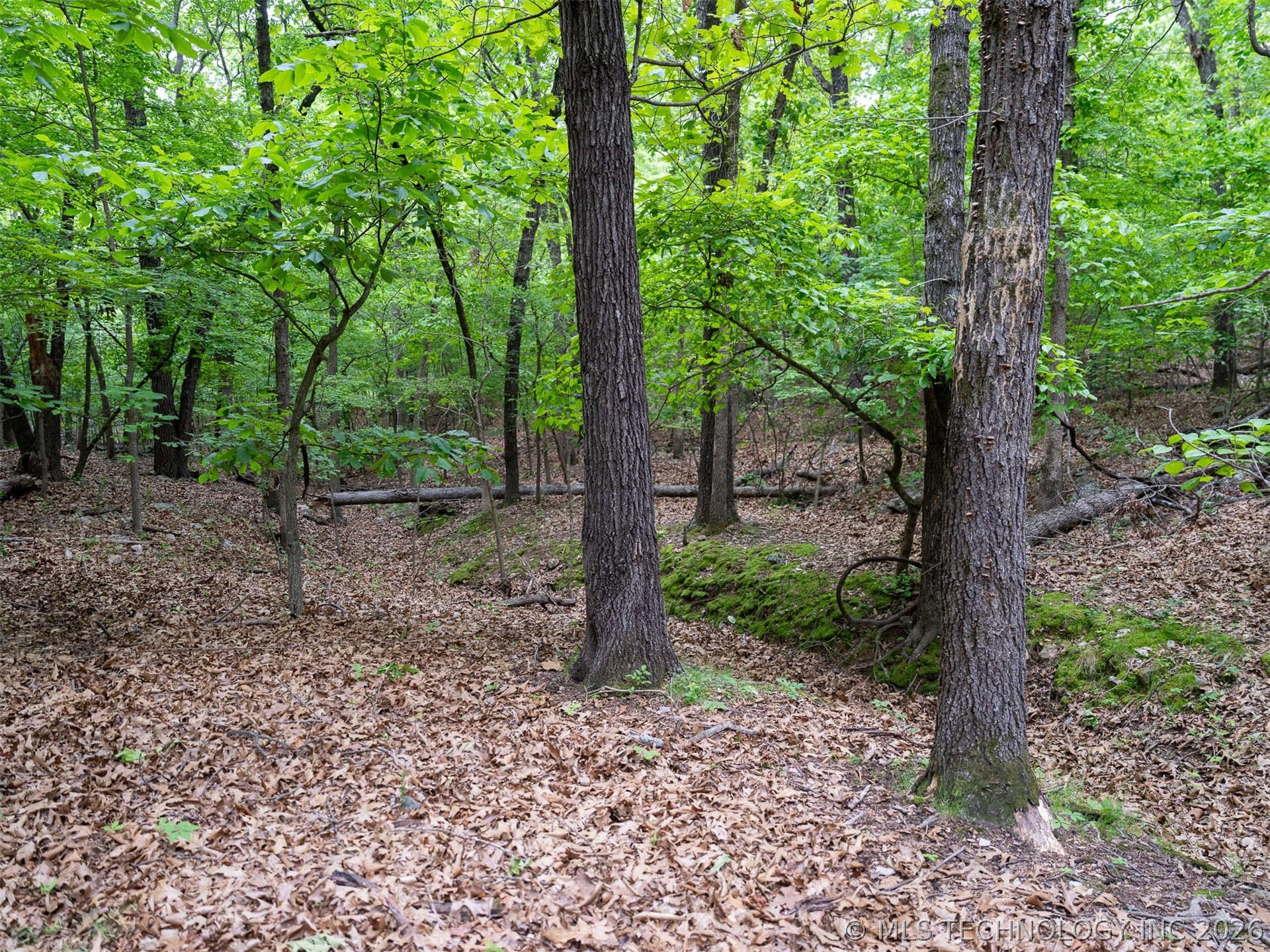 09 Skyline Drive Property Photo 43