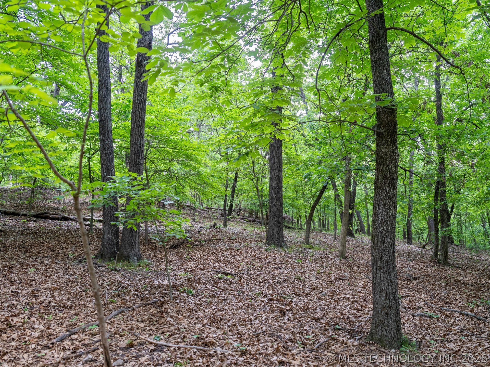 09 Skyline Drive Property Photo 44
