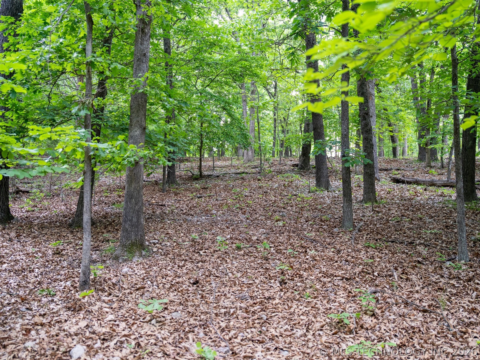 09 Skyline Drive Property Photo 45