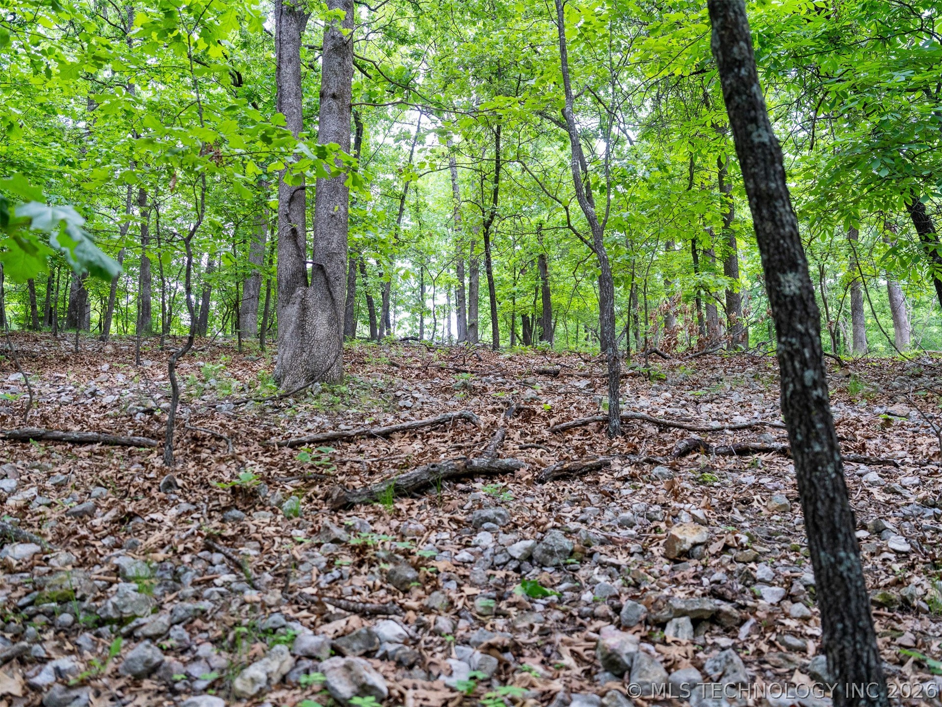 09 Skyline Drive Property Photo 46