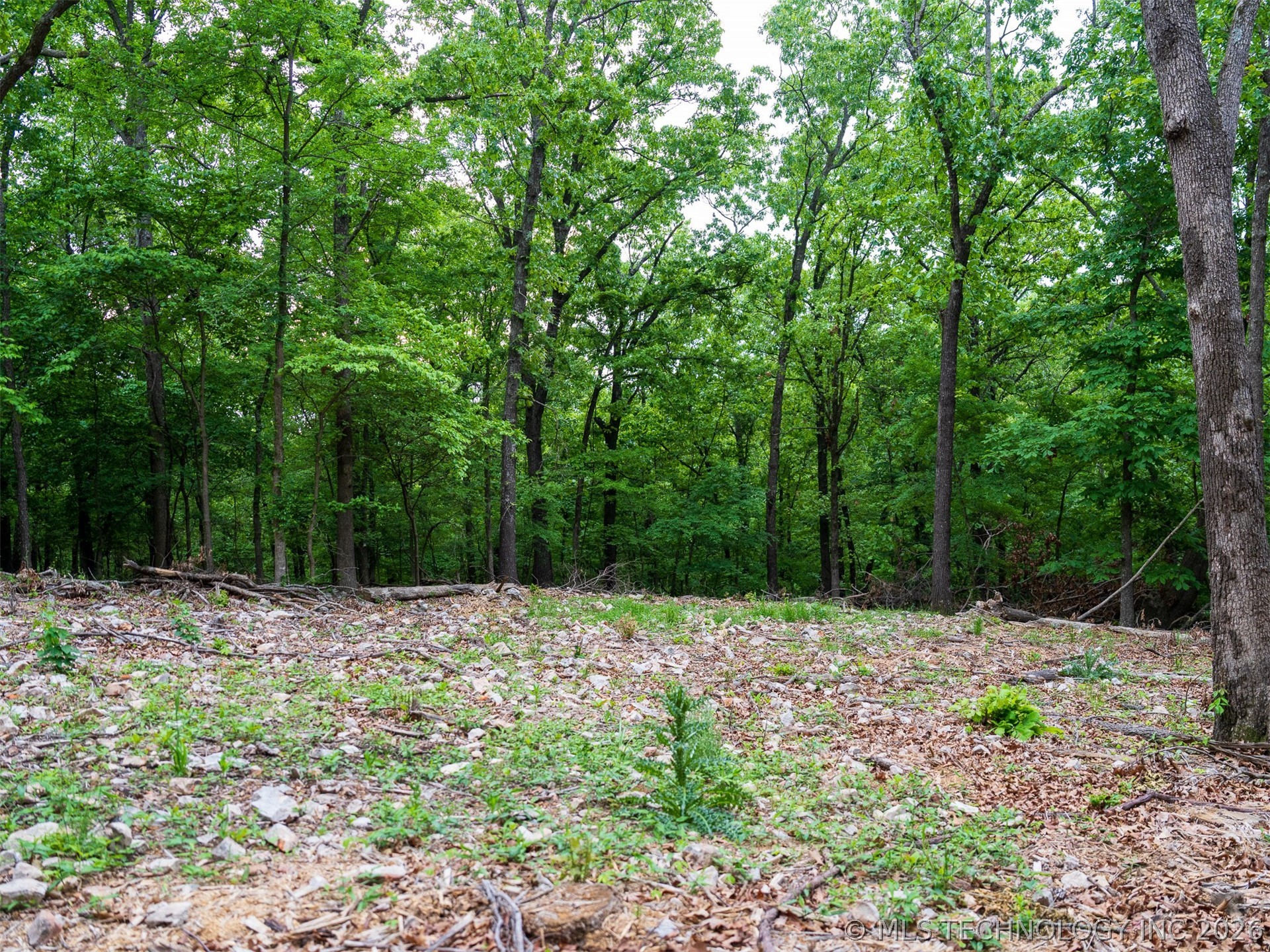 09 Skyline Drive Property Photo 47