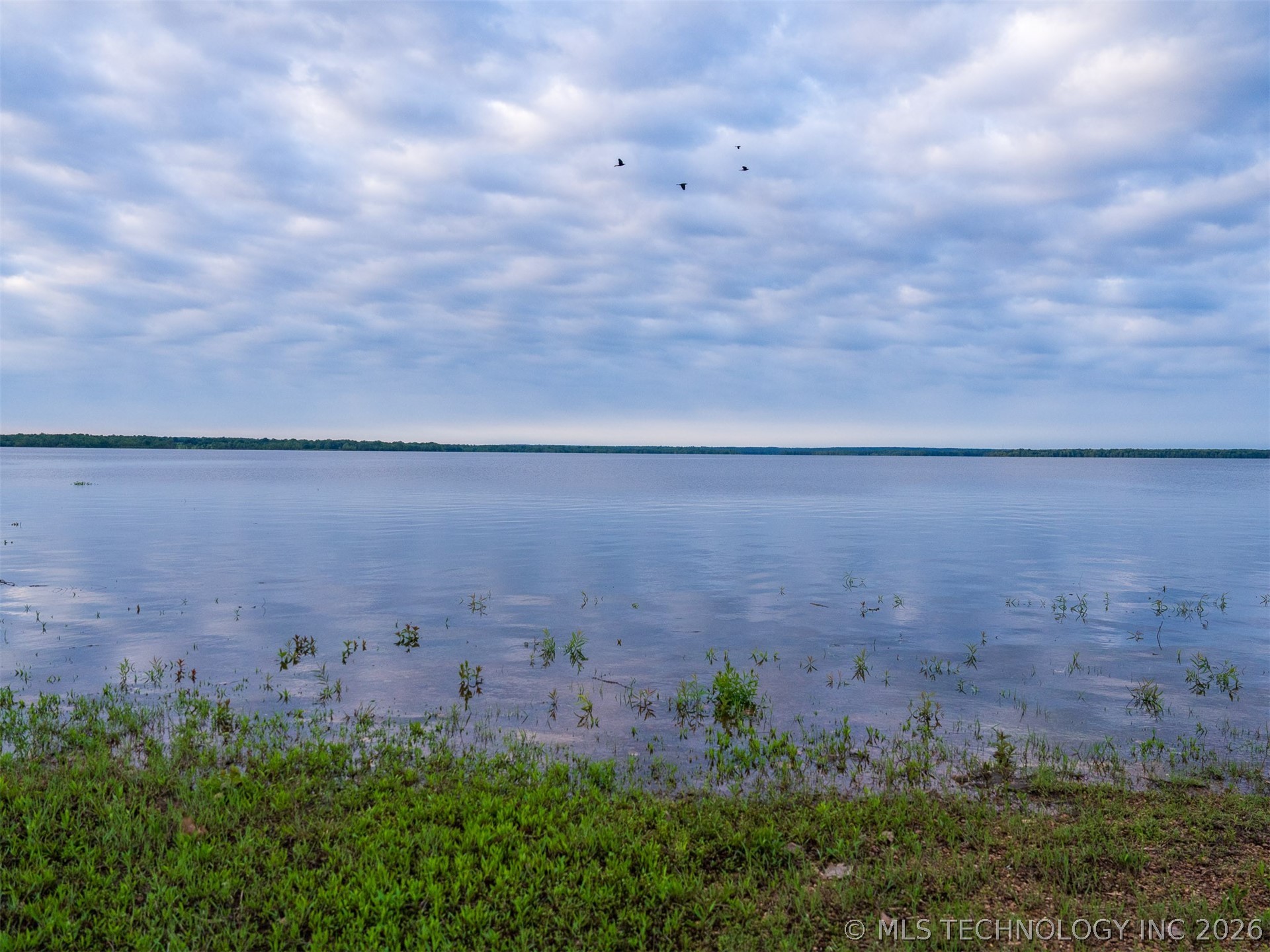 09 Skyline Drive Property Photo 64