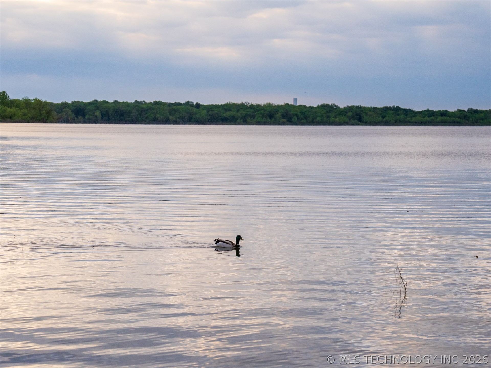 09 Skyline Drive Property Photo 67