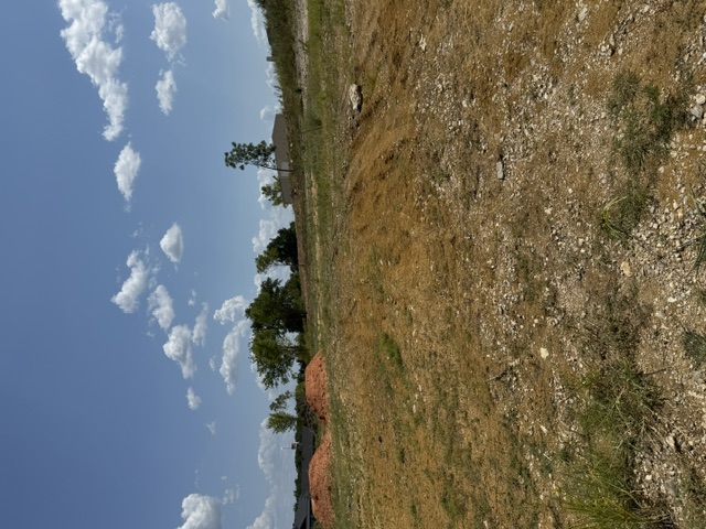 Lindsay Lane Property Photo 2