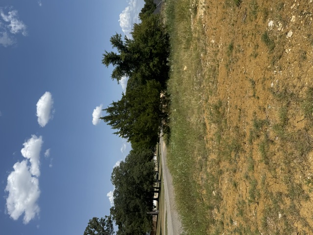 Lindsay Lane Property Photo 3