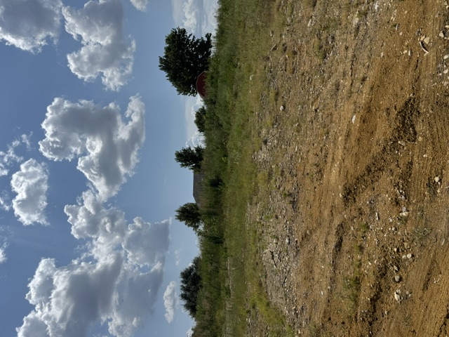 Lindsay Lane Property Photo 4