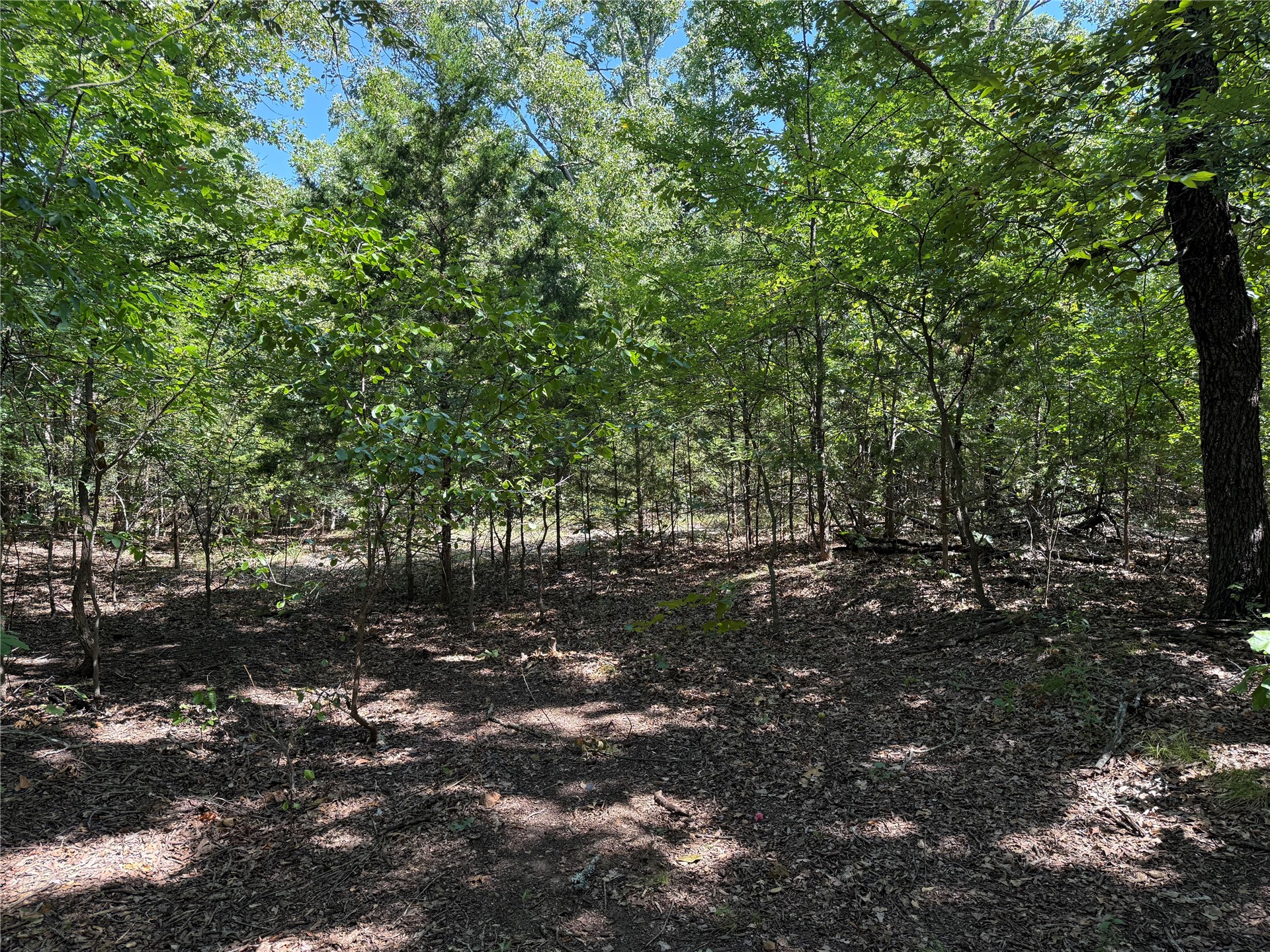 000 Oak Hills Drive Property Photo 5