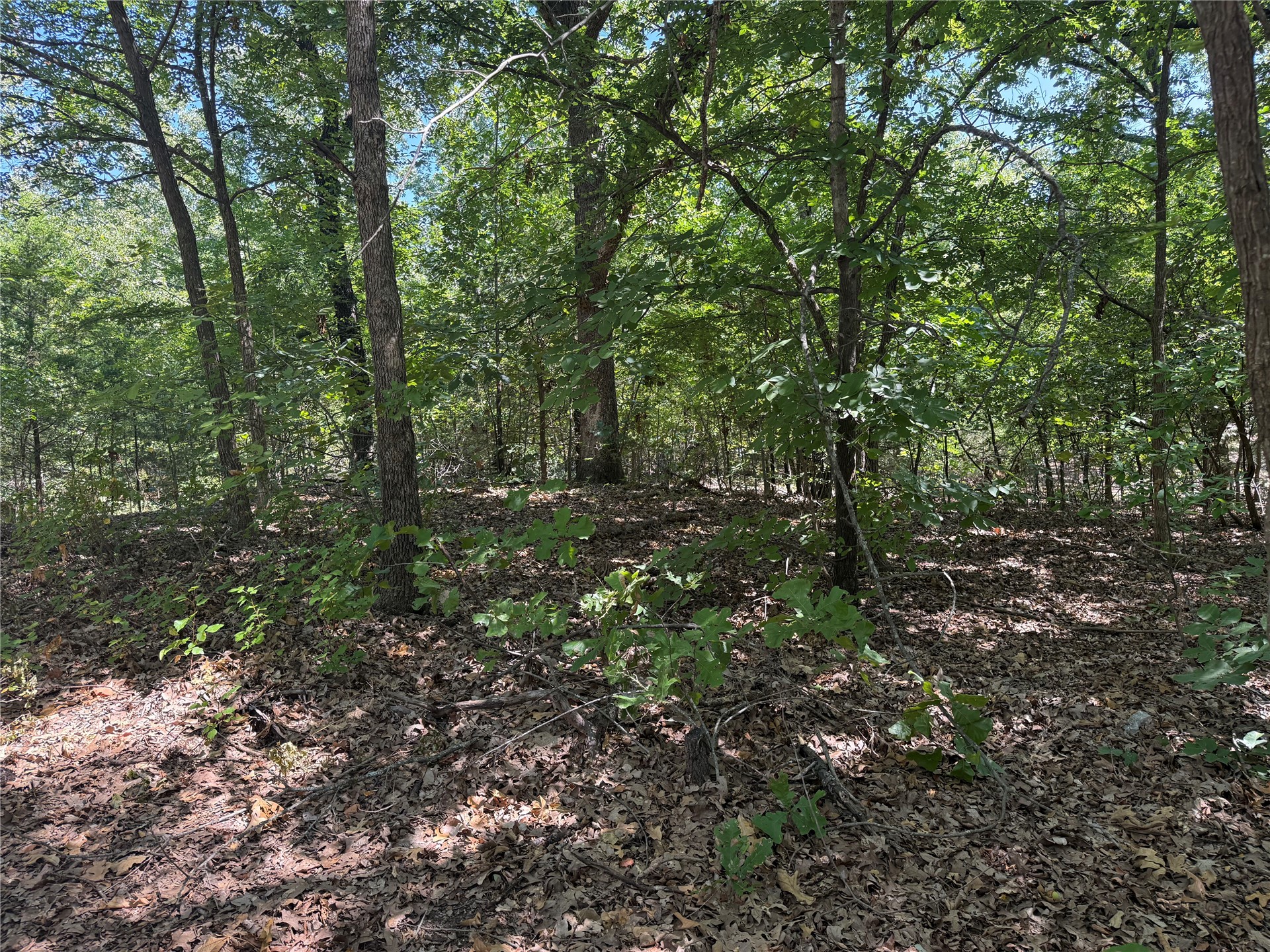 000 Oak Hills Drive Property Photo 6