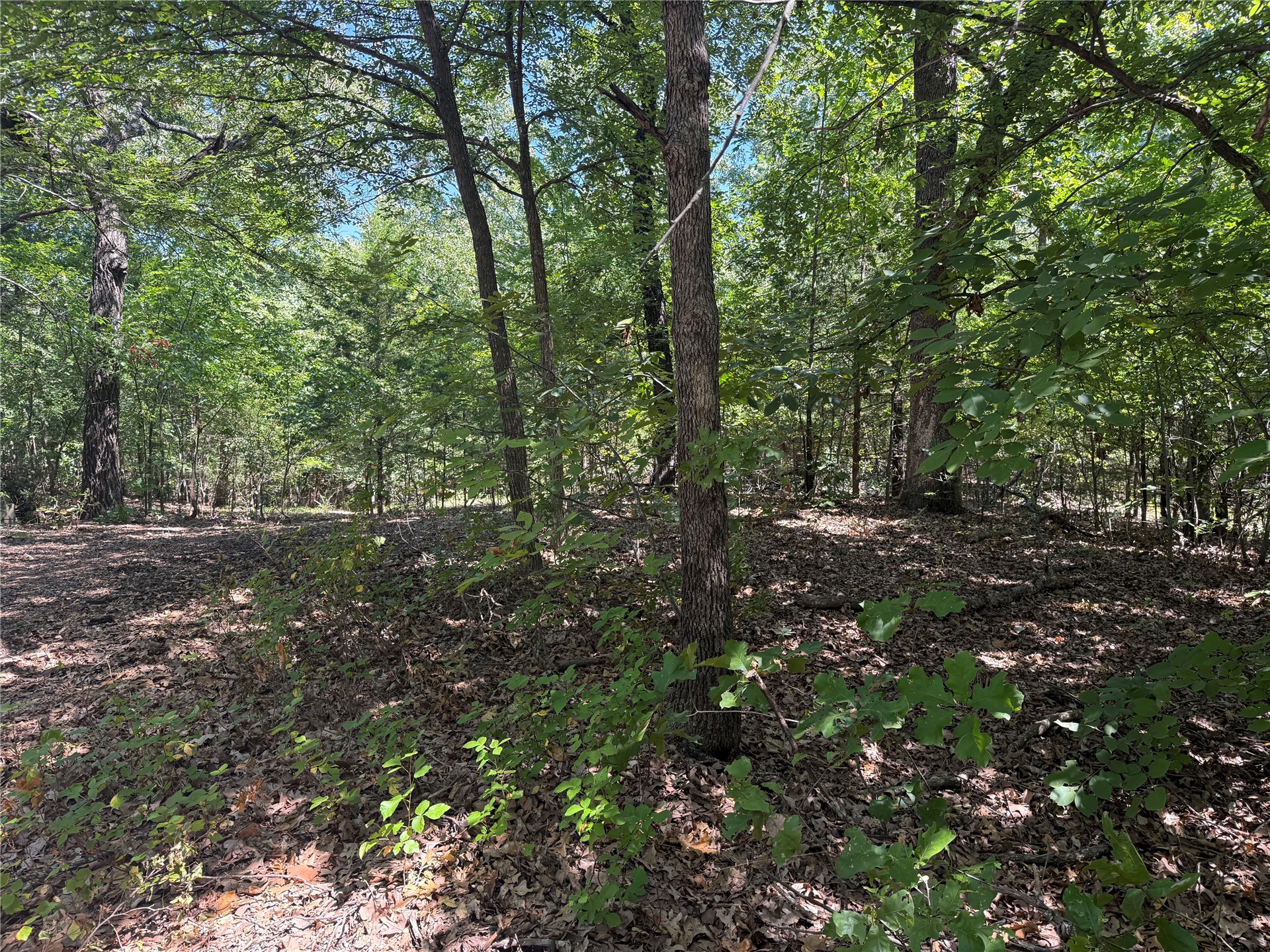000 Oak Hills Drive Property Photo 7