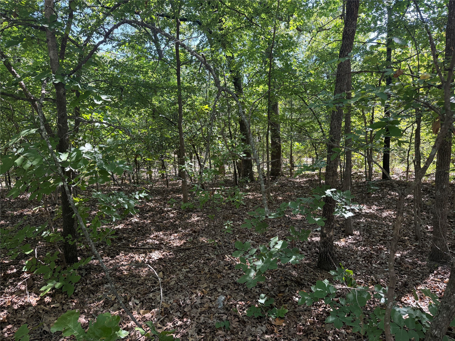 000 Oak Hills Drive Property Photo 8