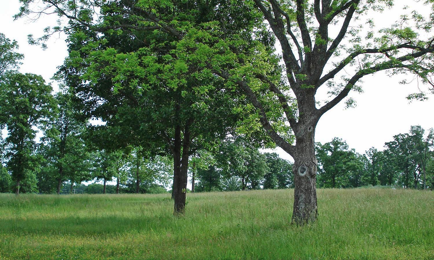 841 Blue Heron Circle Property Photo 10