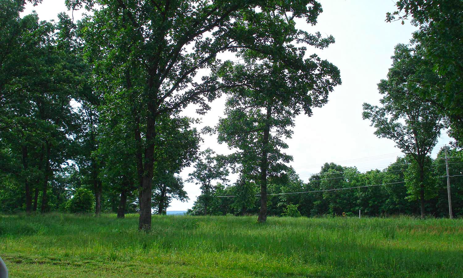 841 Blue Heron Circle Property Photo 11