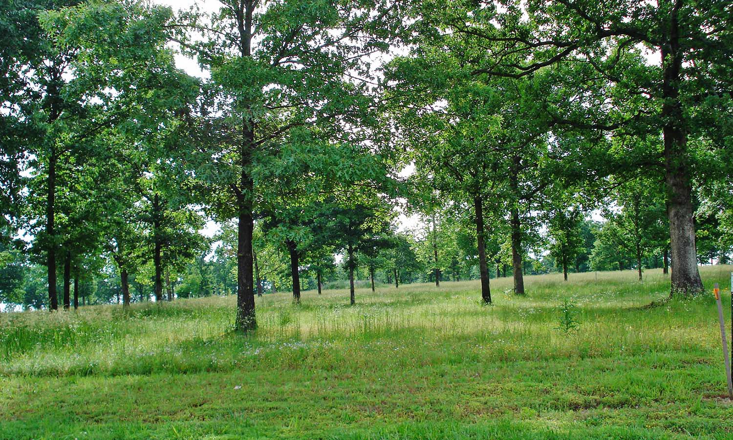 841 Blue Heron Circle Property Photo 19