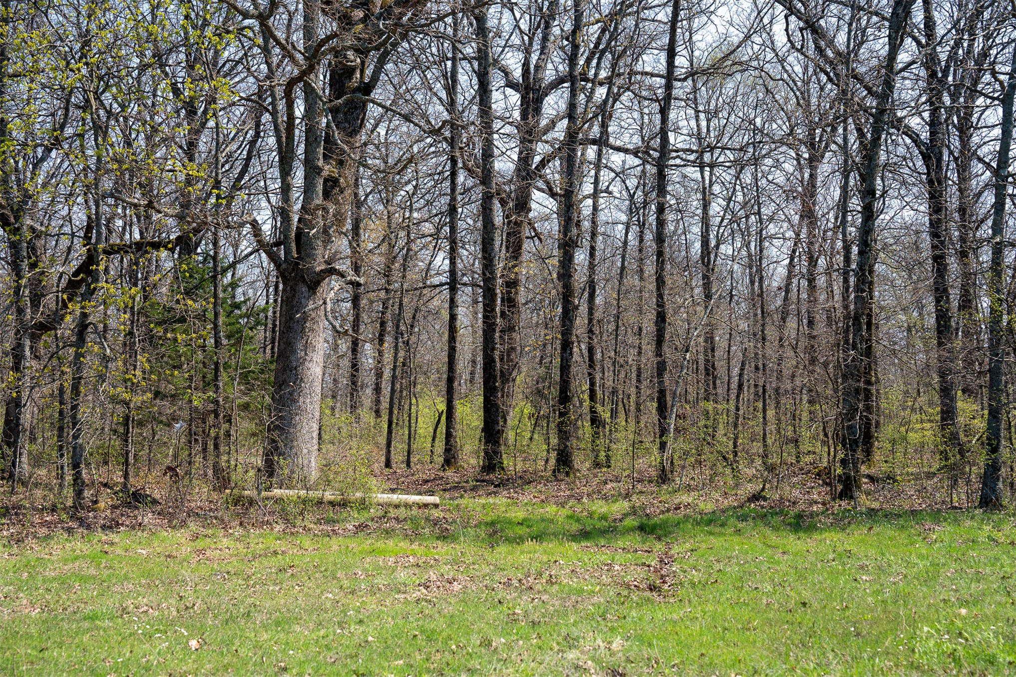4 S 4530 Road Property Photo 17