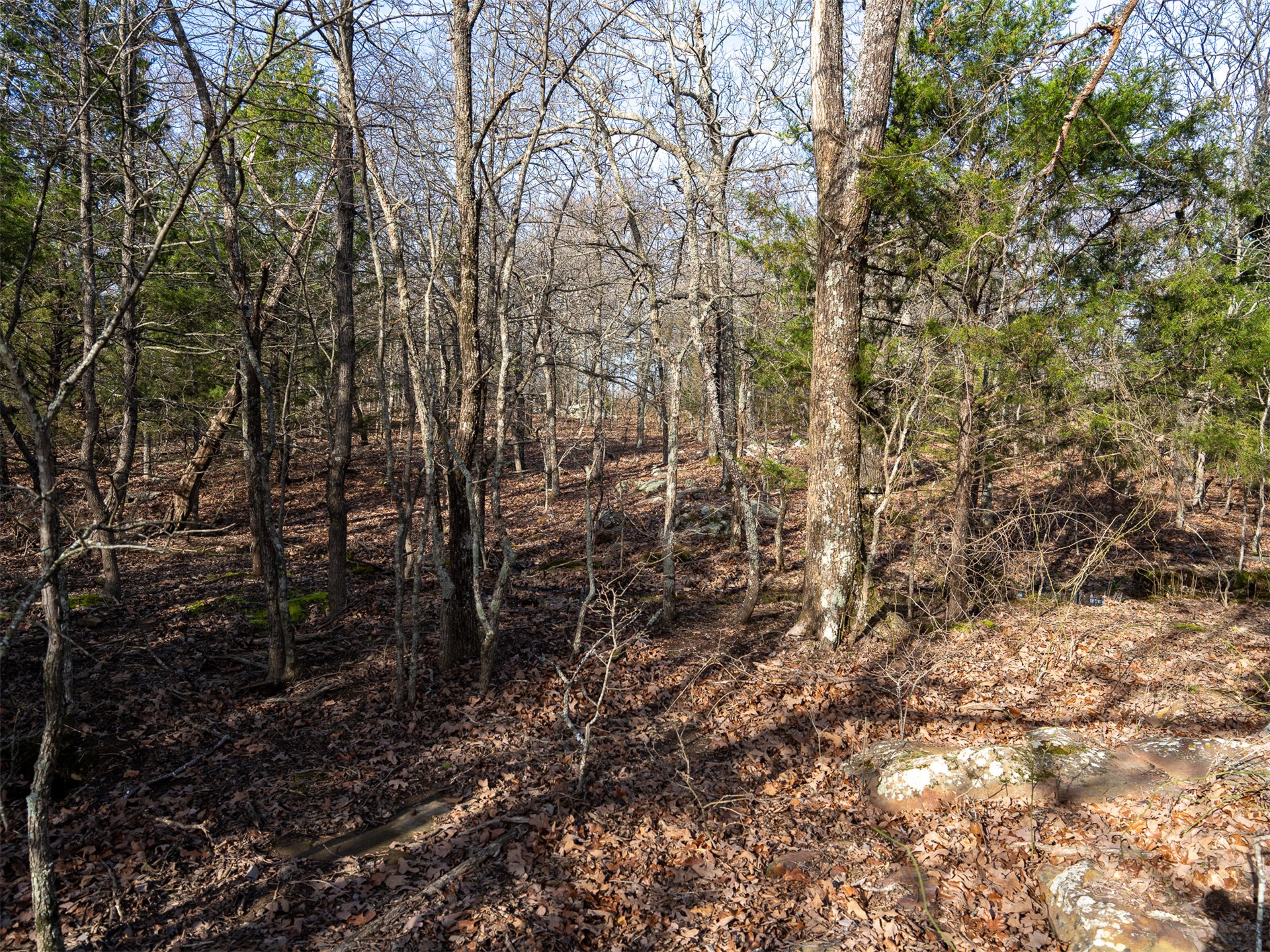 4 E 1110 Road Property Photo 27