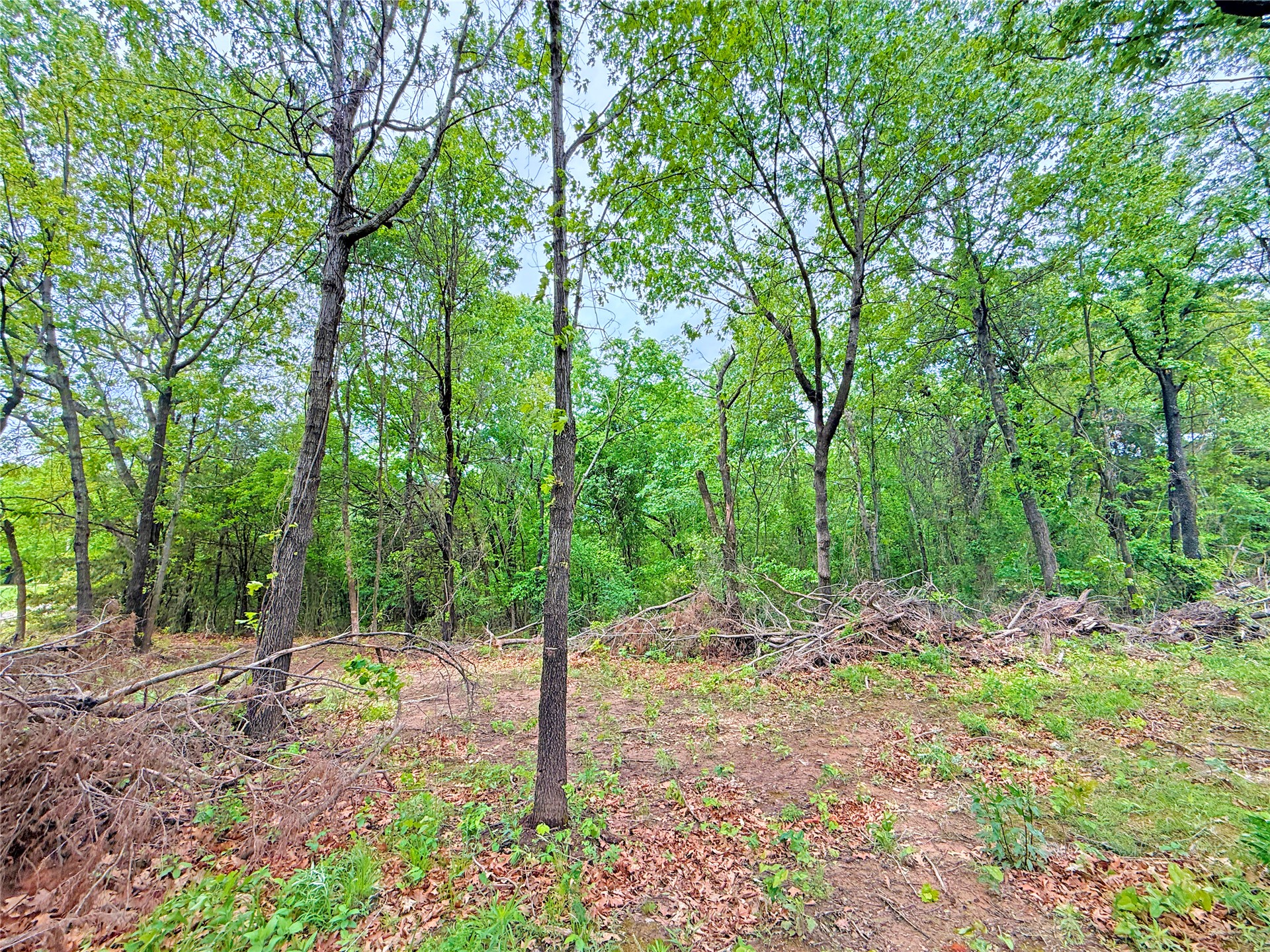 6 Oak Lane Property Photo 17