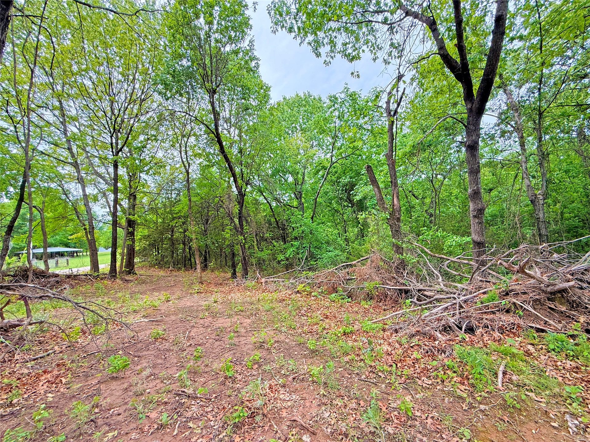 6 Oak Lane Property Photo 19