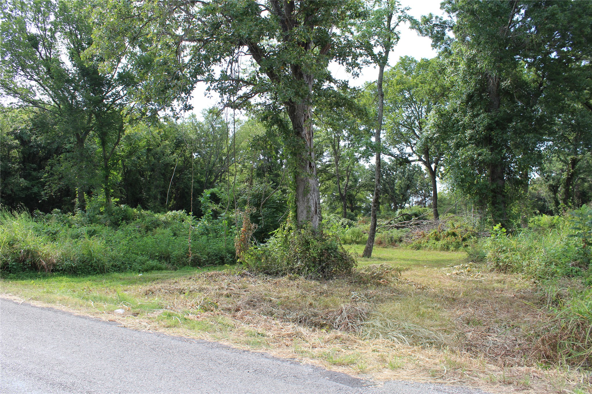 422806 E 1150 Property Photo 3