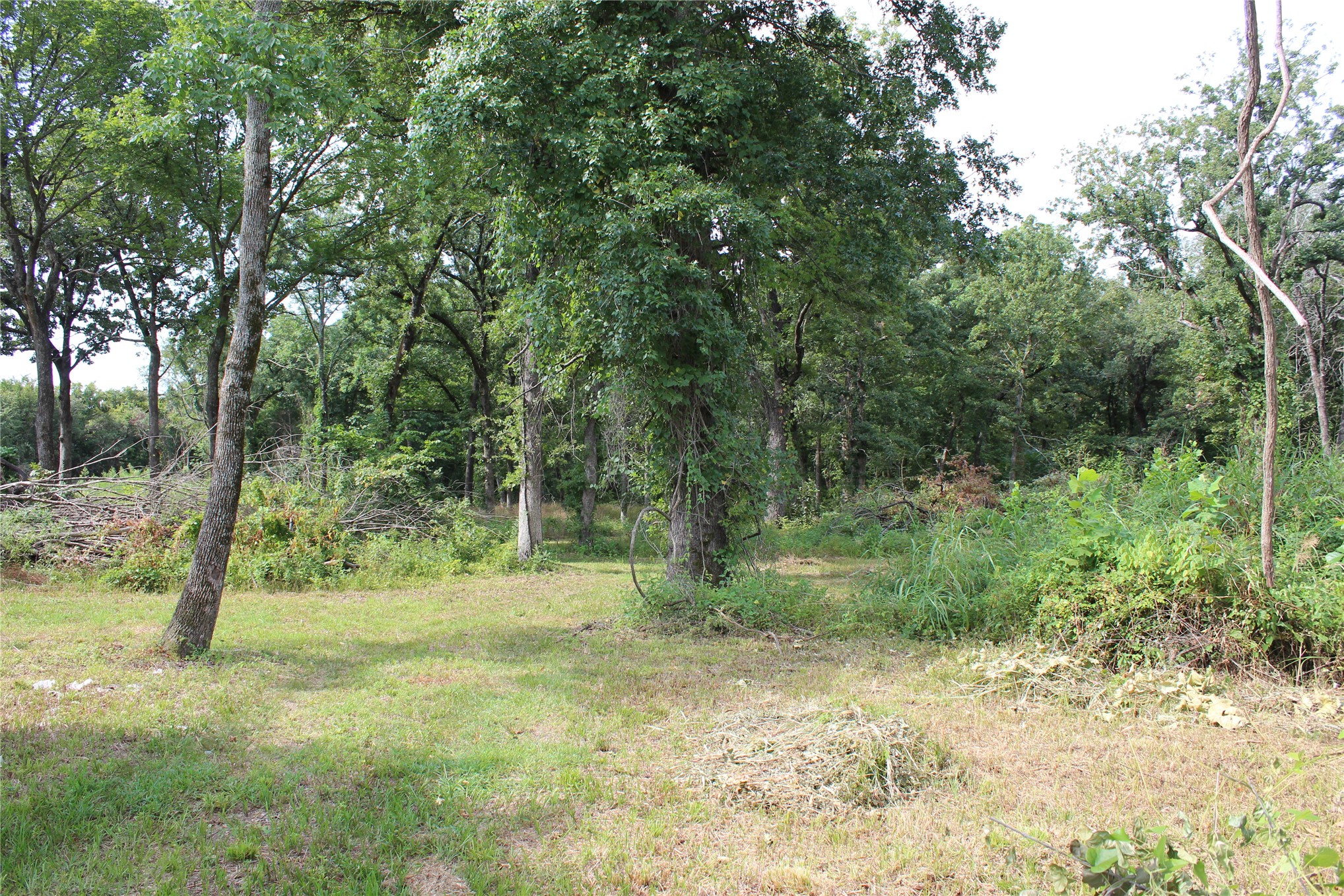 422806 E 1150 Property Photo 4