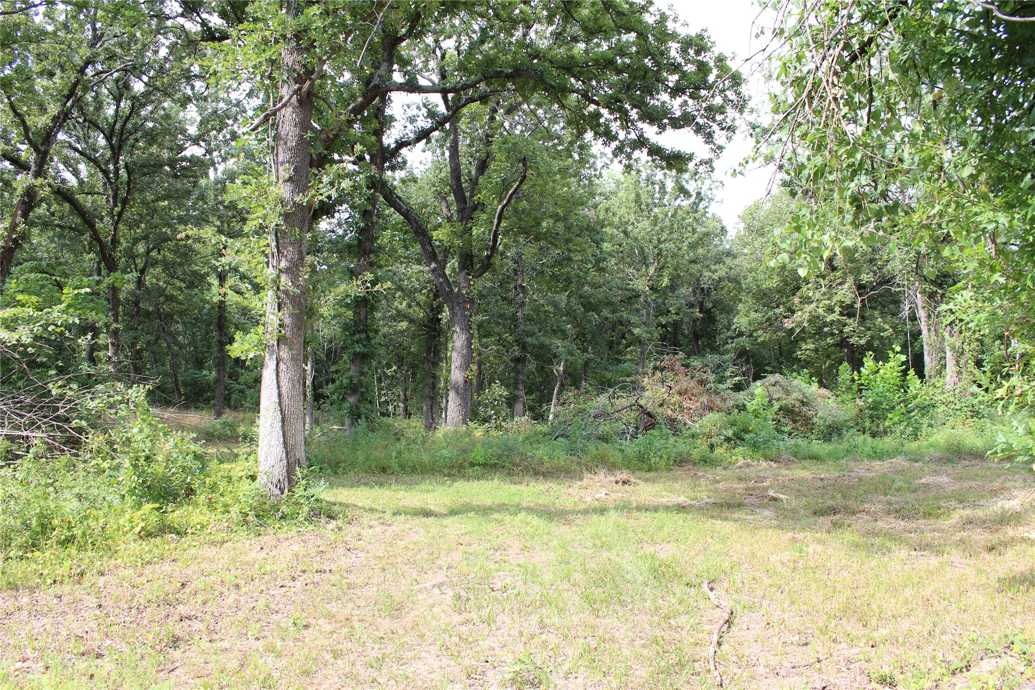 422806 E 1150 Property Photo 6