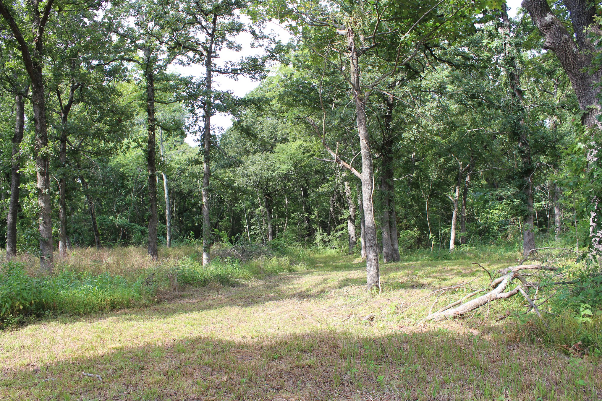 422806 E 1150 Property Photo 9