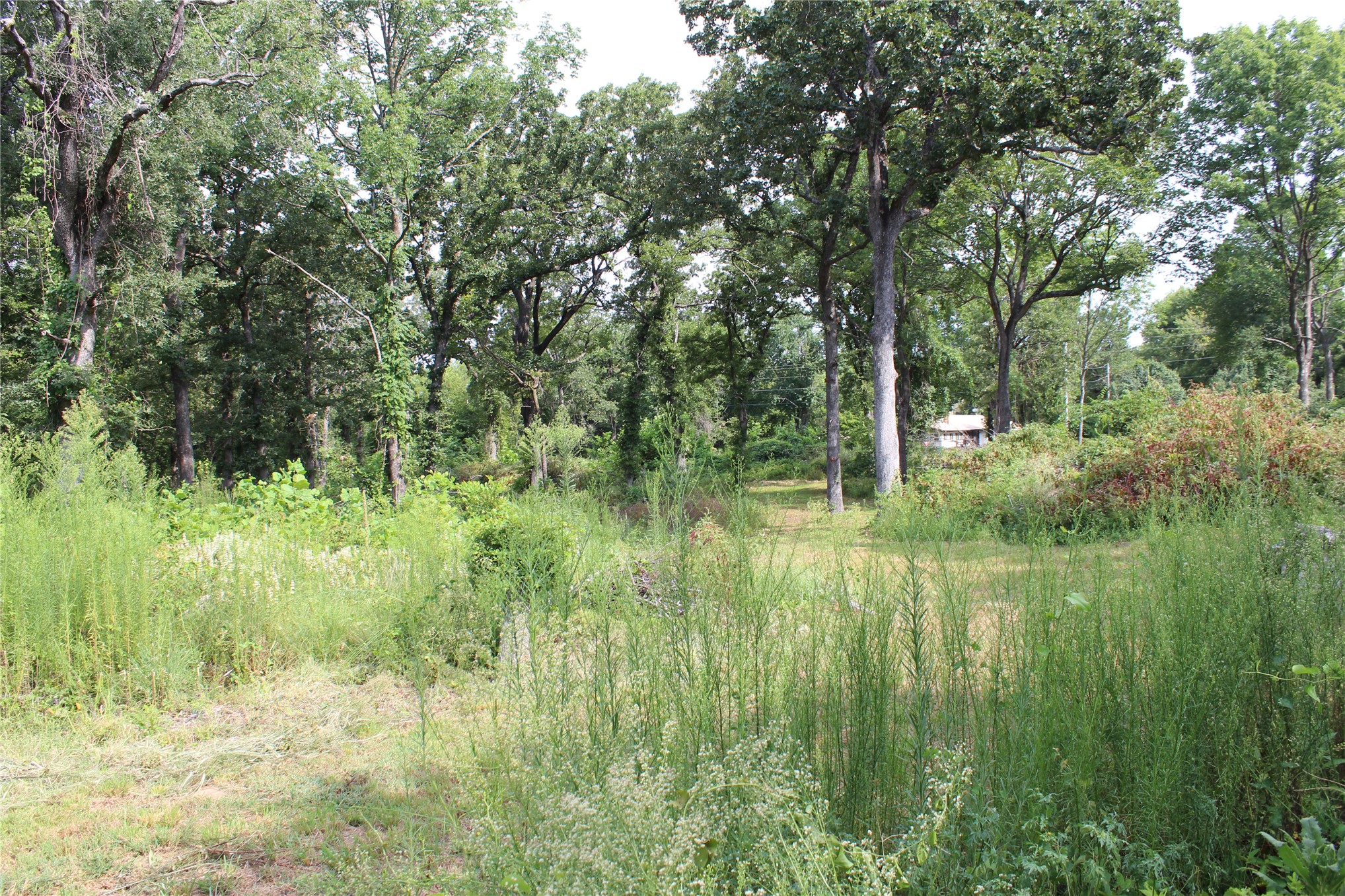 422806 E 1150 Property Photo 14