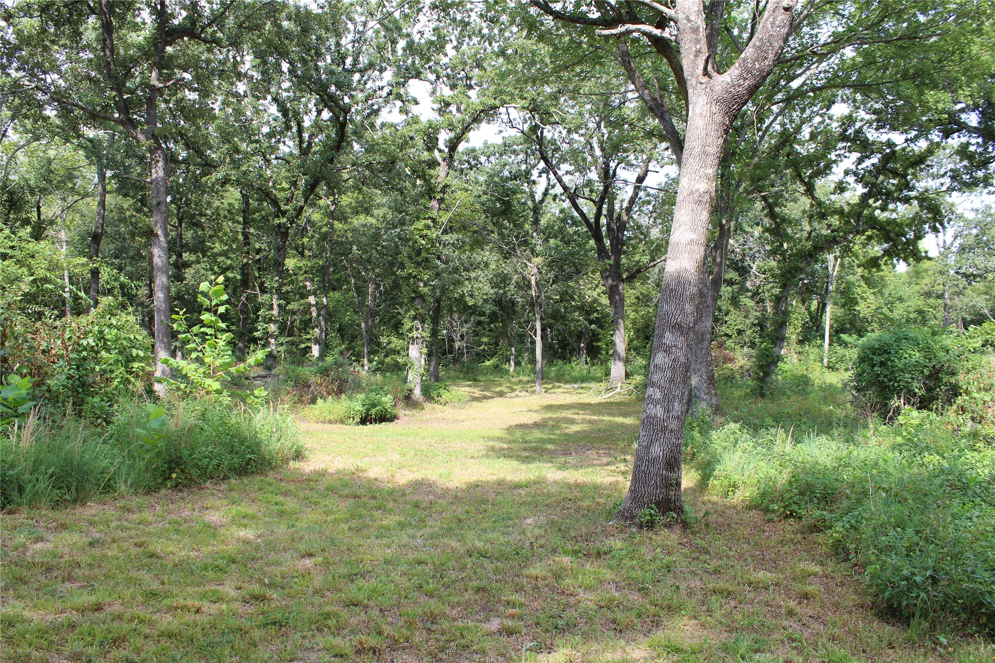 422806 E 1150 Property Photo 17