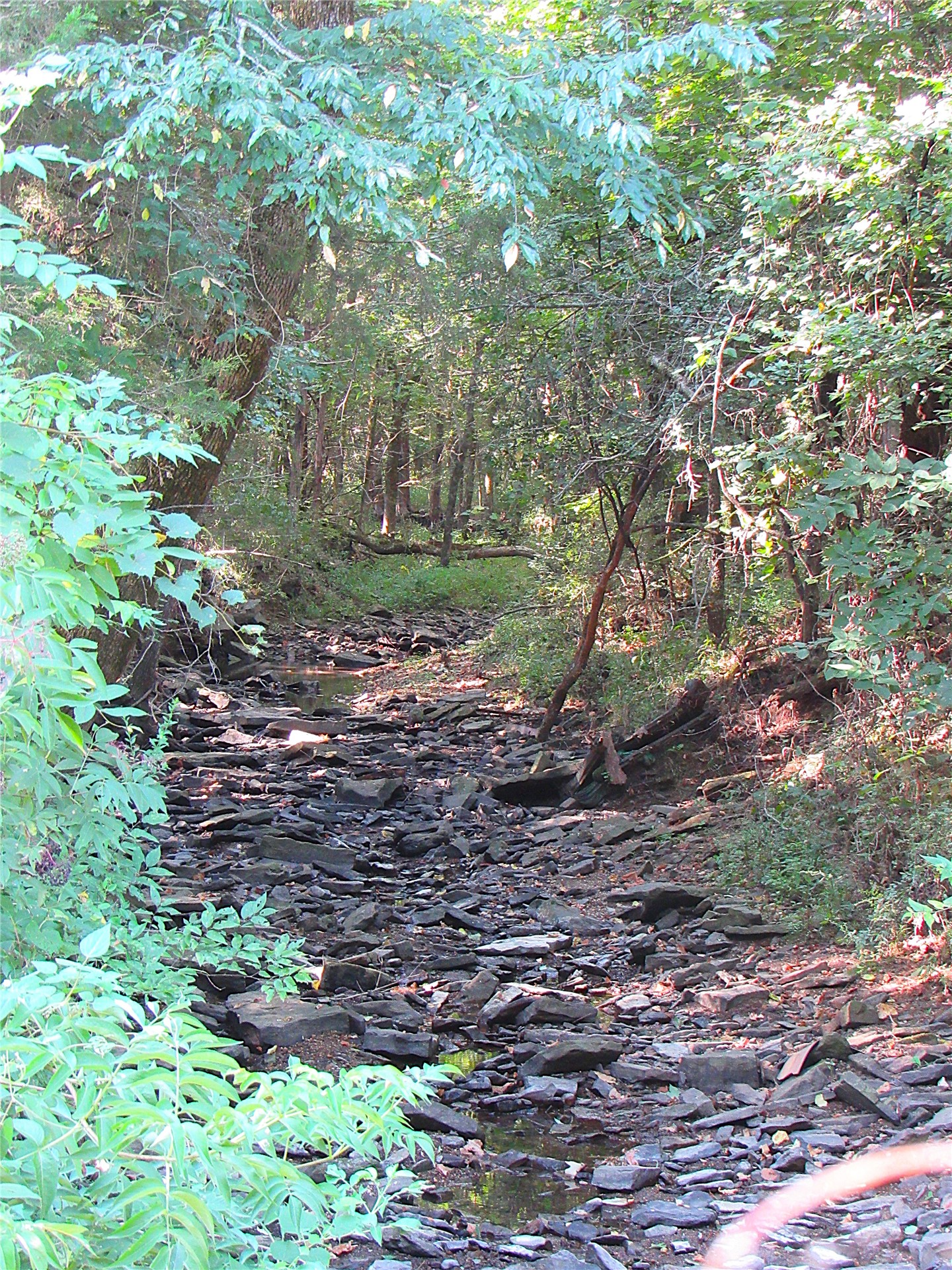 000 E 850 Road Property Photo 1