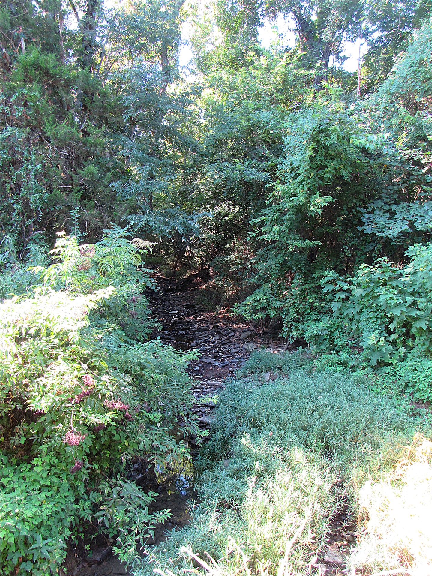 000 E 850 Road Property Photo 8