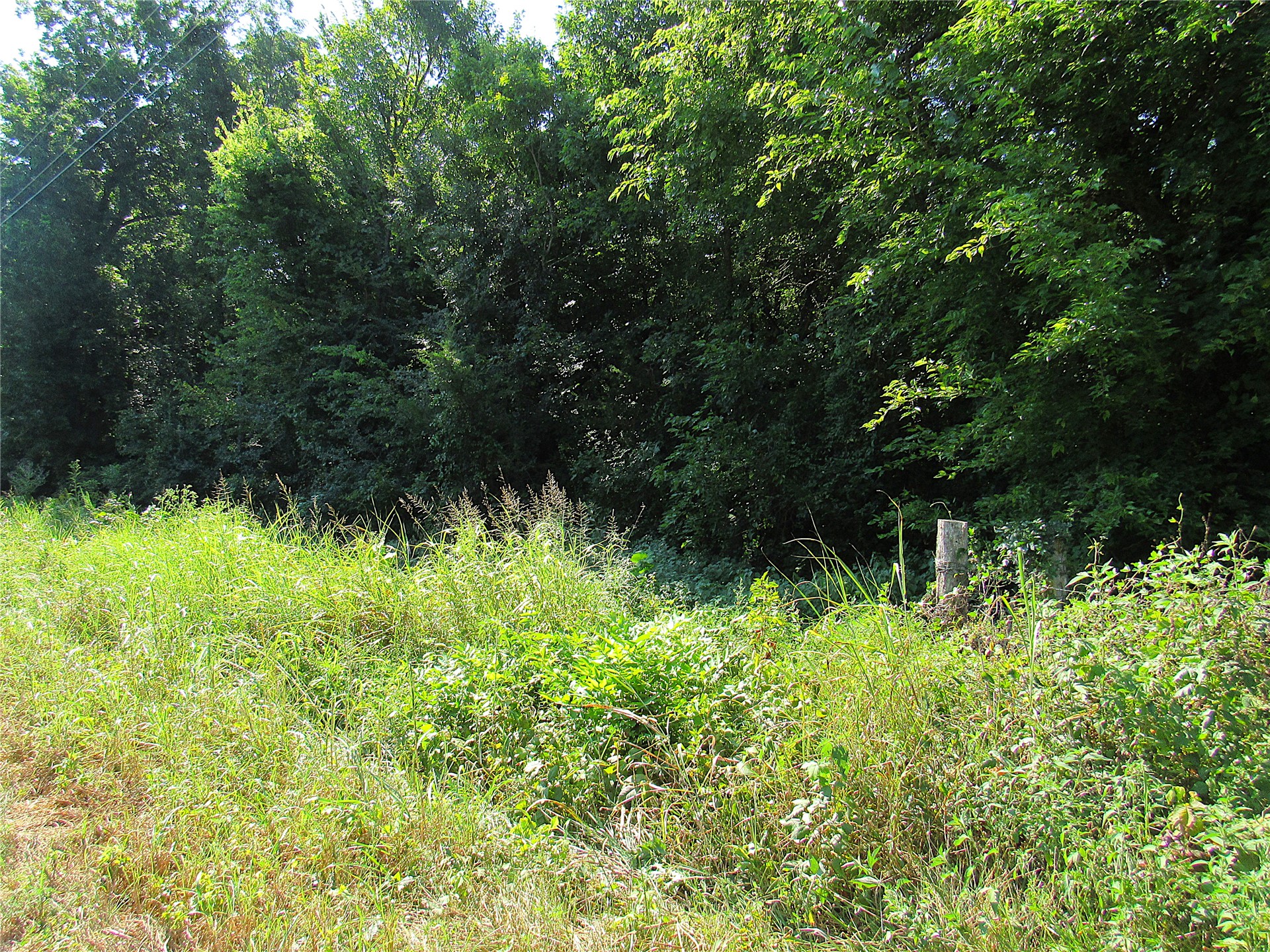 000 E 850 Road Property Photo 14