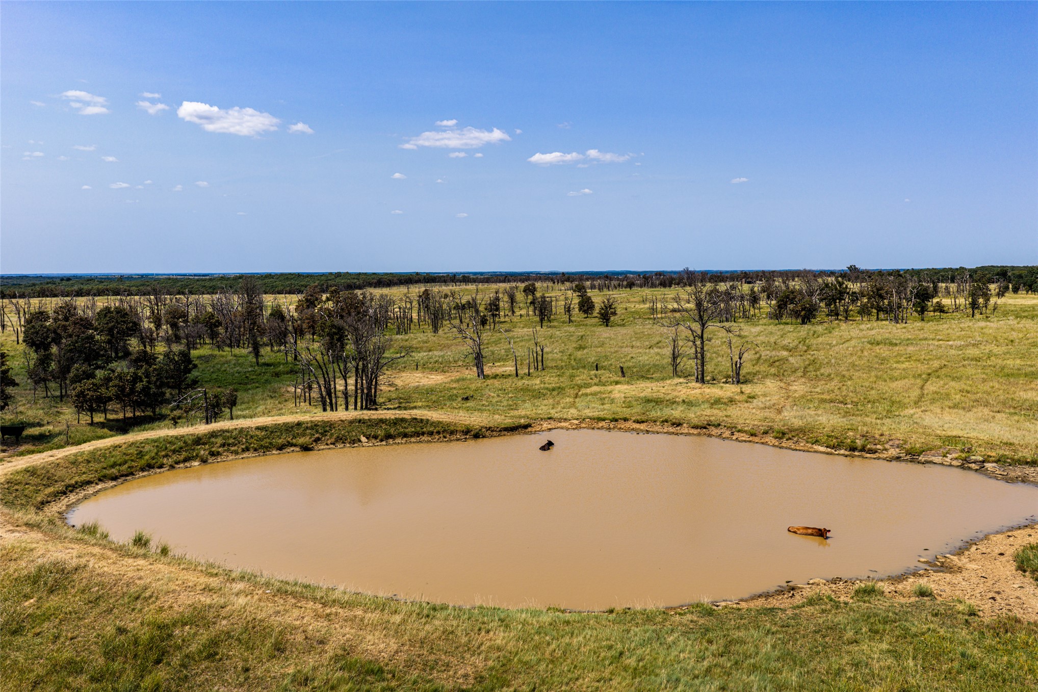 County Road Property Photo 18