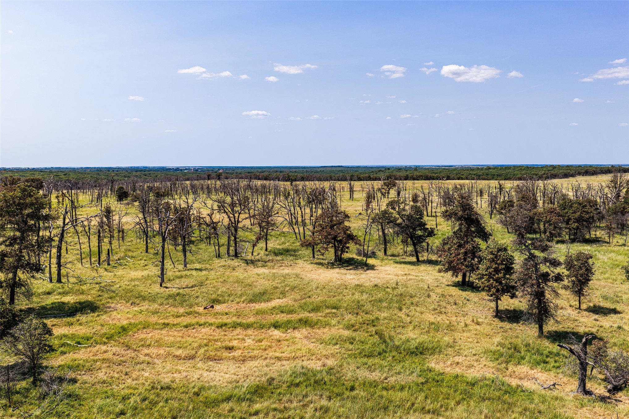 County Road Property Photo 20