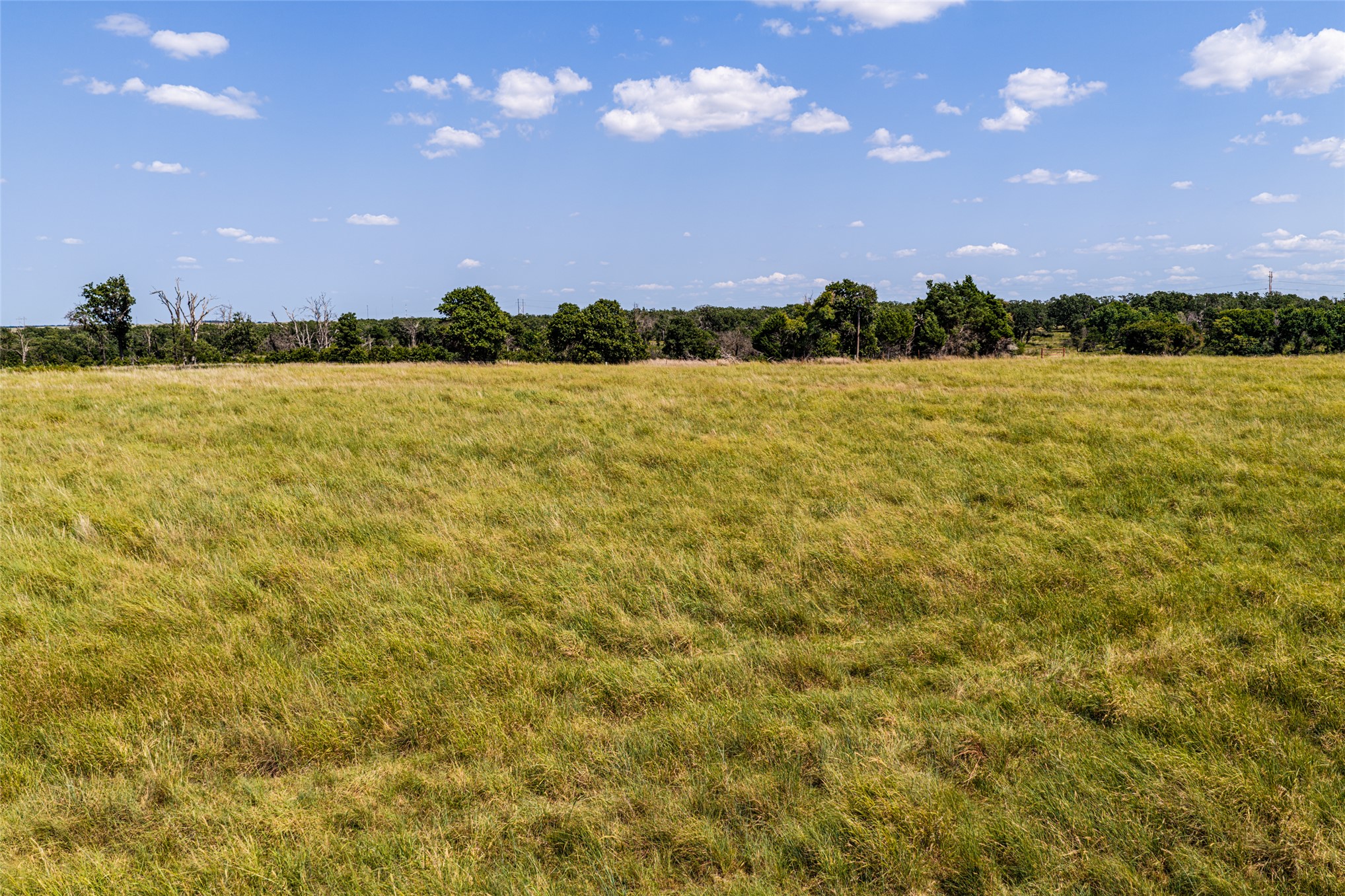 County Road Property Photo 38